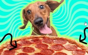 Can Dogs Have Pepperoni